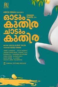 һƥ�����ܣ�һƥ����Ծ