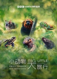 С��������е�һ��