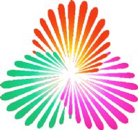 ȫ�˻�Ů���ʸ��� B��-�ӱ�86.63���20250811