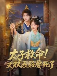 ̫�Ӿ�������˫����Ҫ����